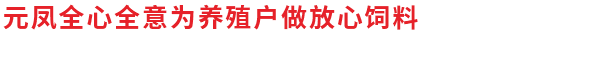 湖北魚飼料廠家